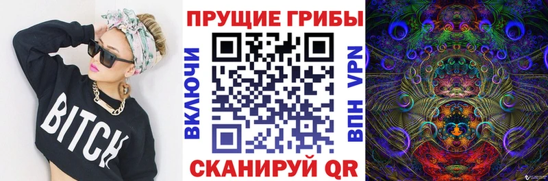 Псилоцибиновые грибы Cubensis  Сосенский 