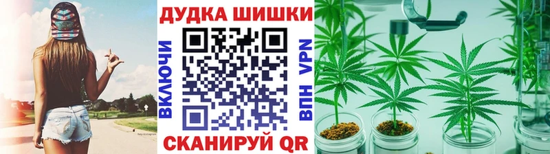 Каннабис OG Kush купить сайты Сосенский